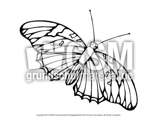 Ausmalbild-Schmetterling 9.pdf